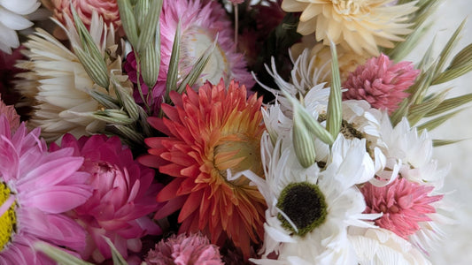 Pourquoi choisir des fleurs séchées plutôt que des fleurs fraîches ?