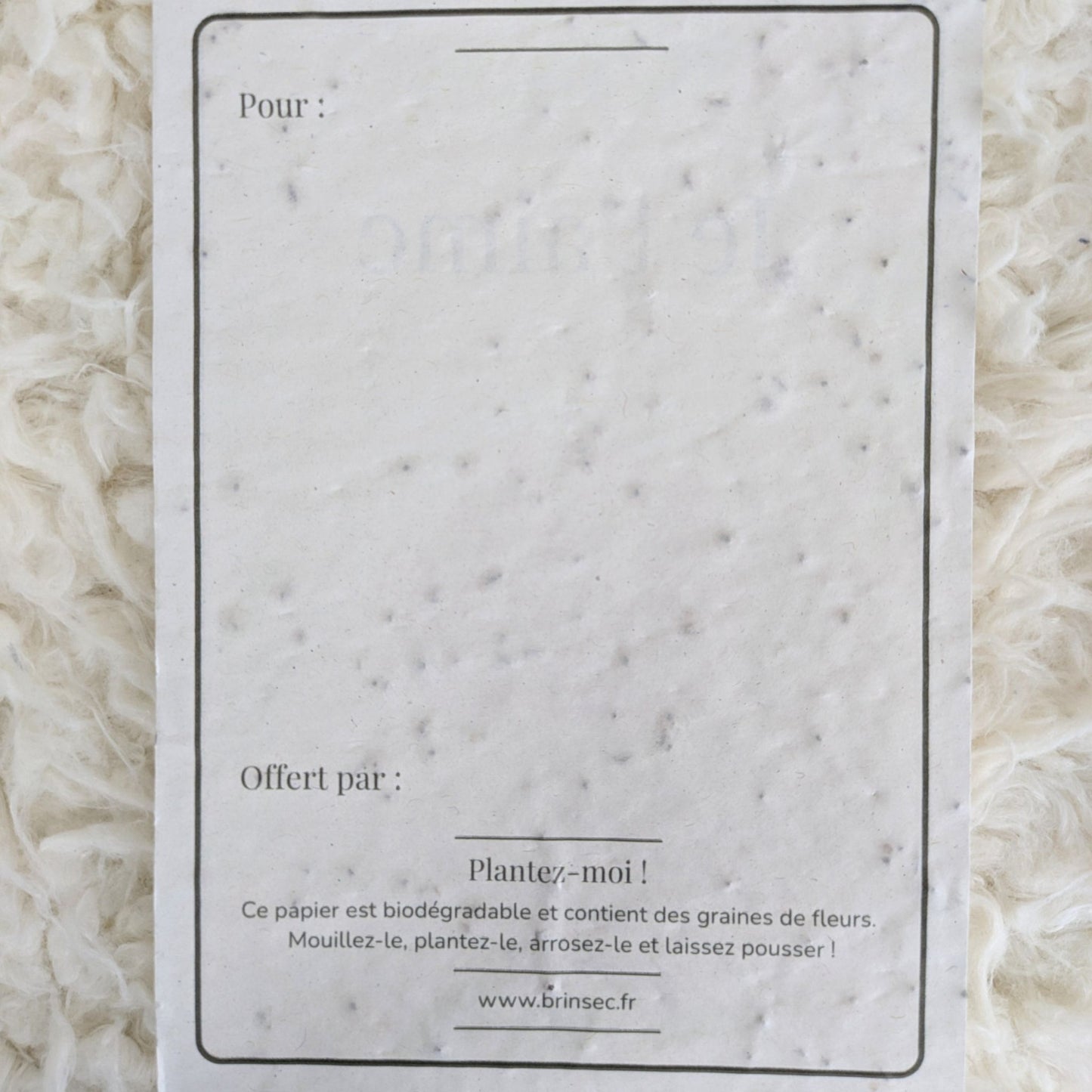 Carte de vœux à planter ~ Édition classique
