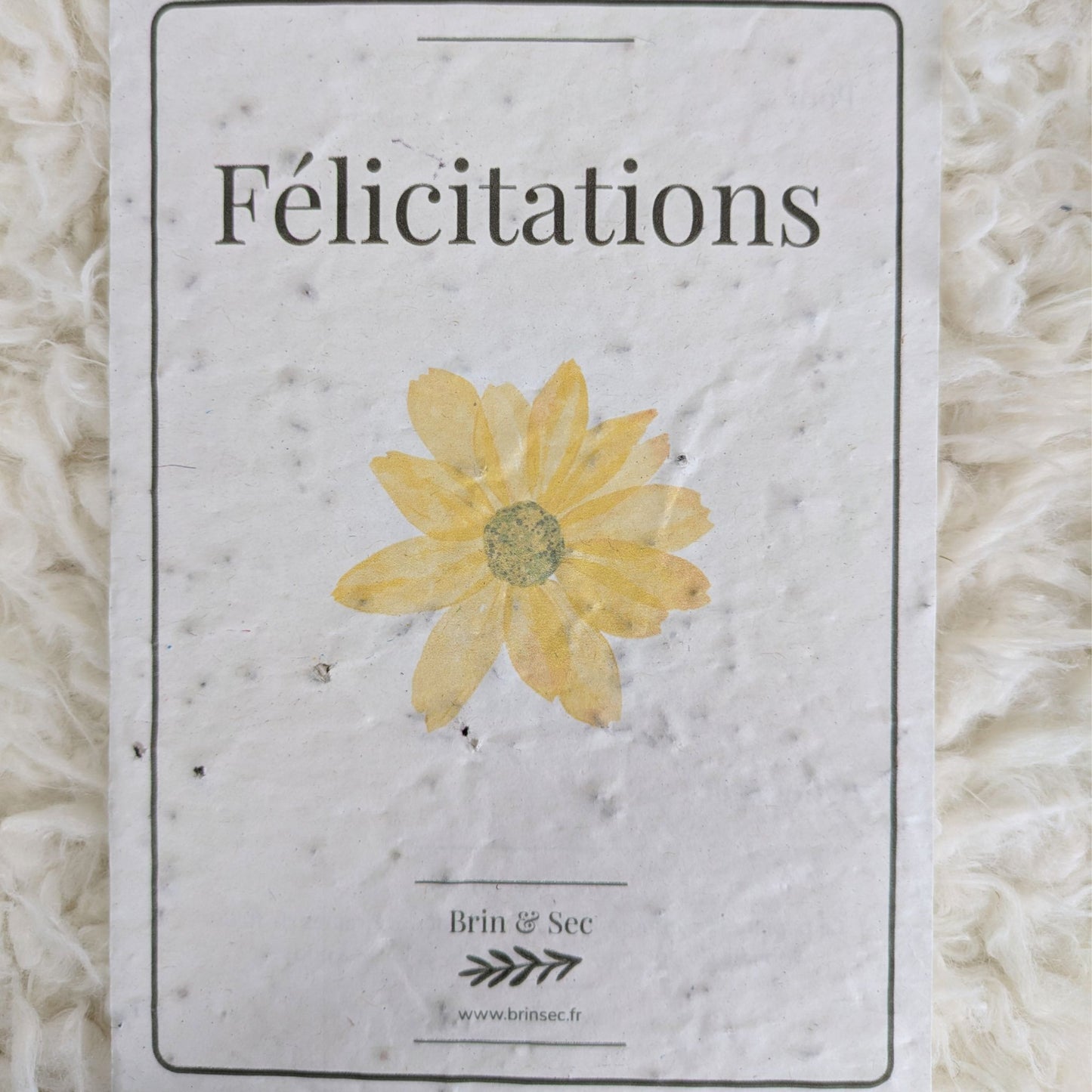 Carte de vœux à planter ~ Édition classique