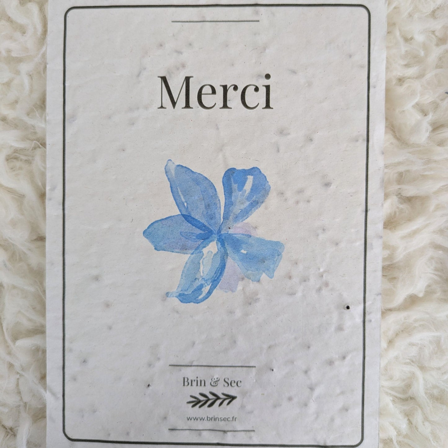 Carte de vœux à planter ~ Édition classique