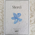 Merci