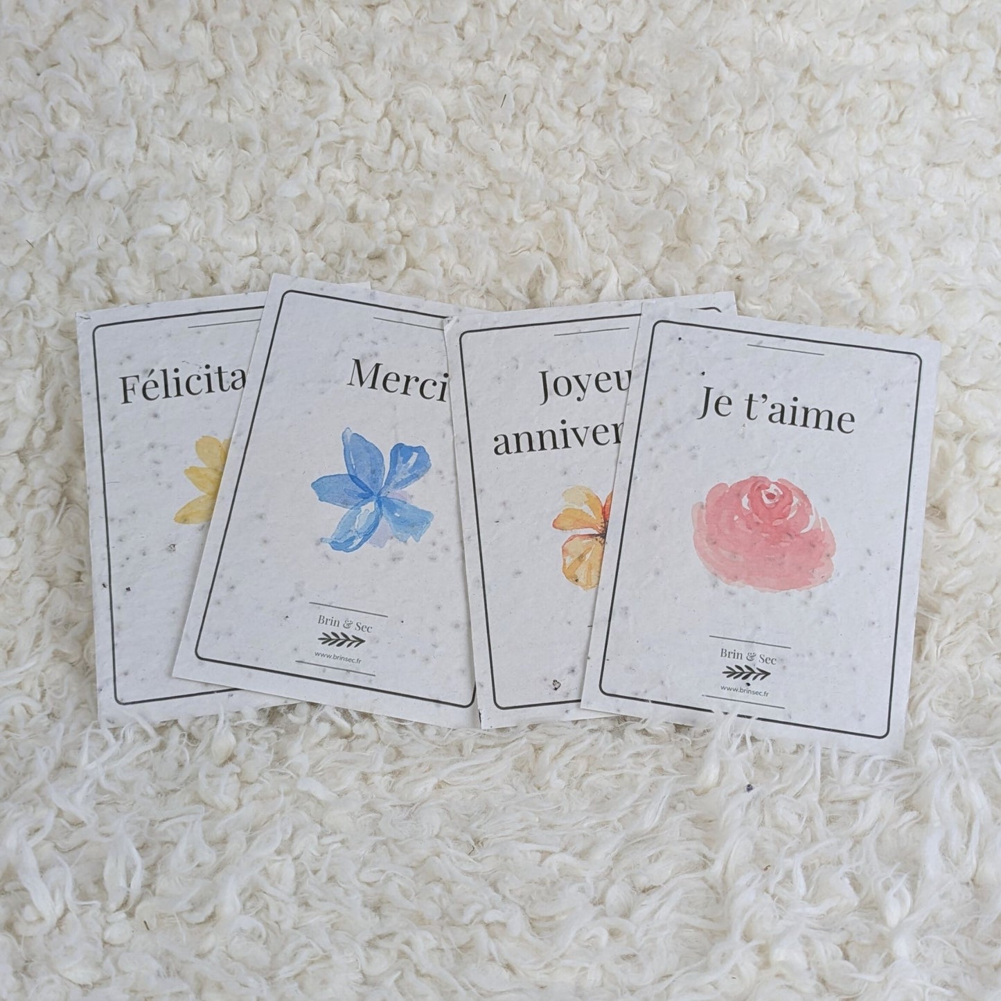 Carte de vœux à planter ~ Édition classique