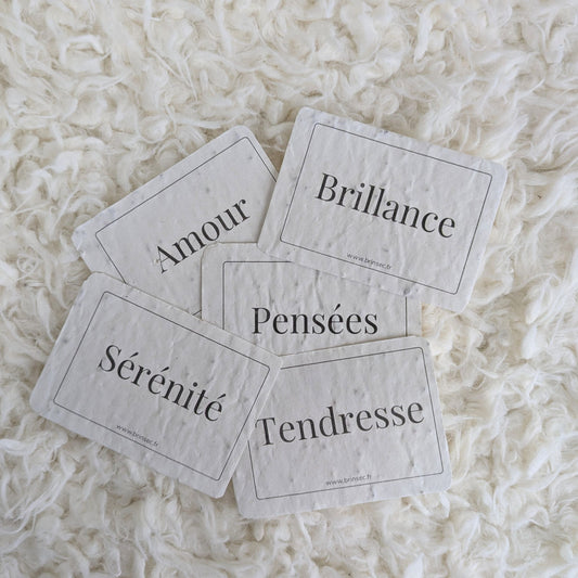 Mini-cartes en papier ensemencé ~ À écrire et à planter