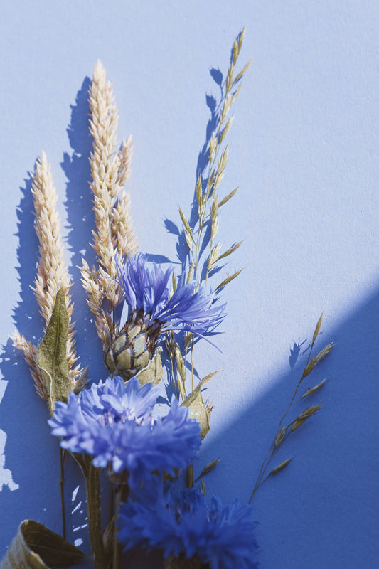 Déco d'été 2026 : sublimer votre intérieur avec des fleurs séchées