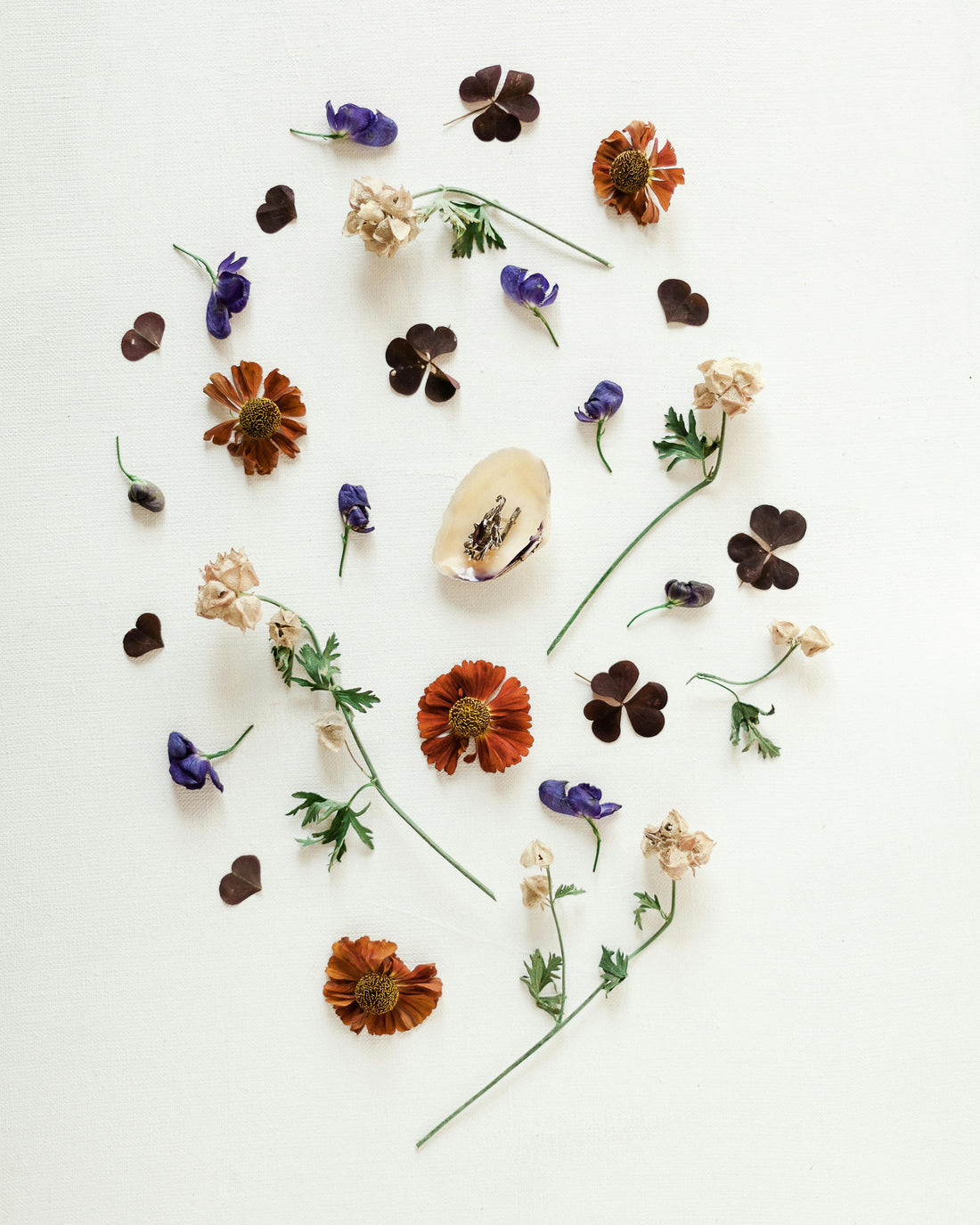 Comment décorer son intérieur avec des fleurs séchées au printemps ?