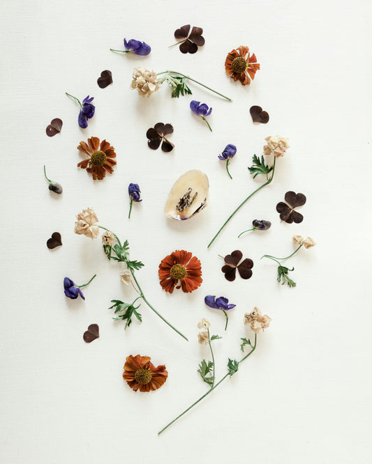 Comment décorer son intérieur avec des fleurs séchées au printemps ?