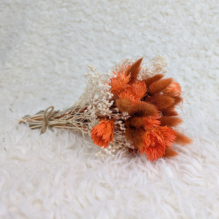 L'Édition d'Automne