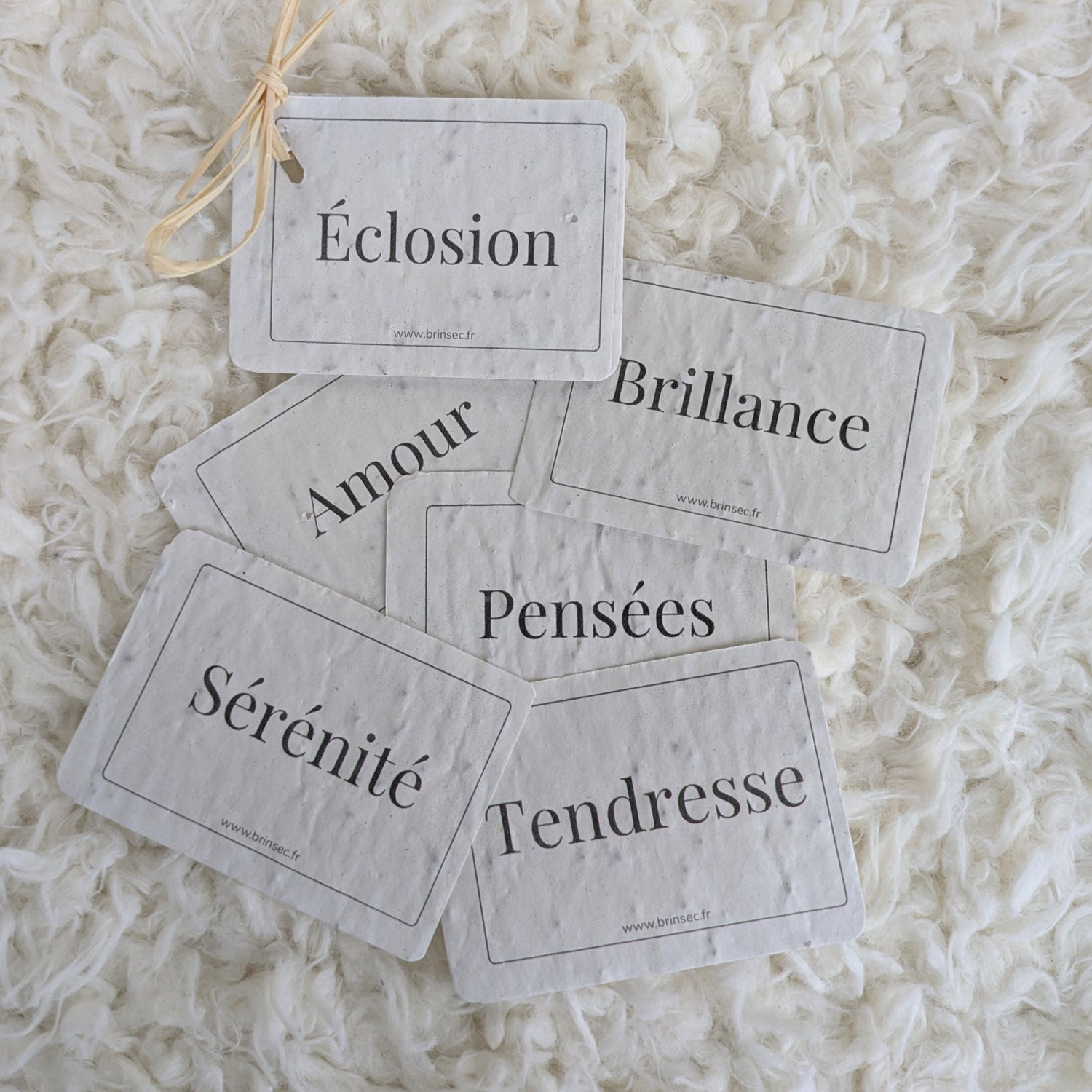 Les Cartes Fleuries