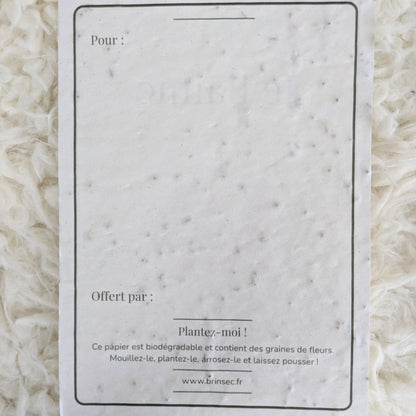 Carte de vœux à planter ~ Édition classique