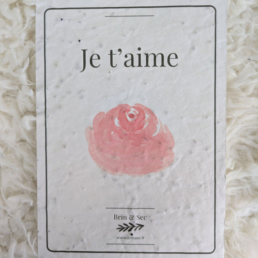 Carte de vœux à planter ~ Édition personnalisée